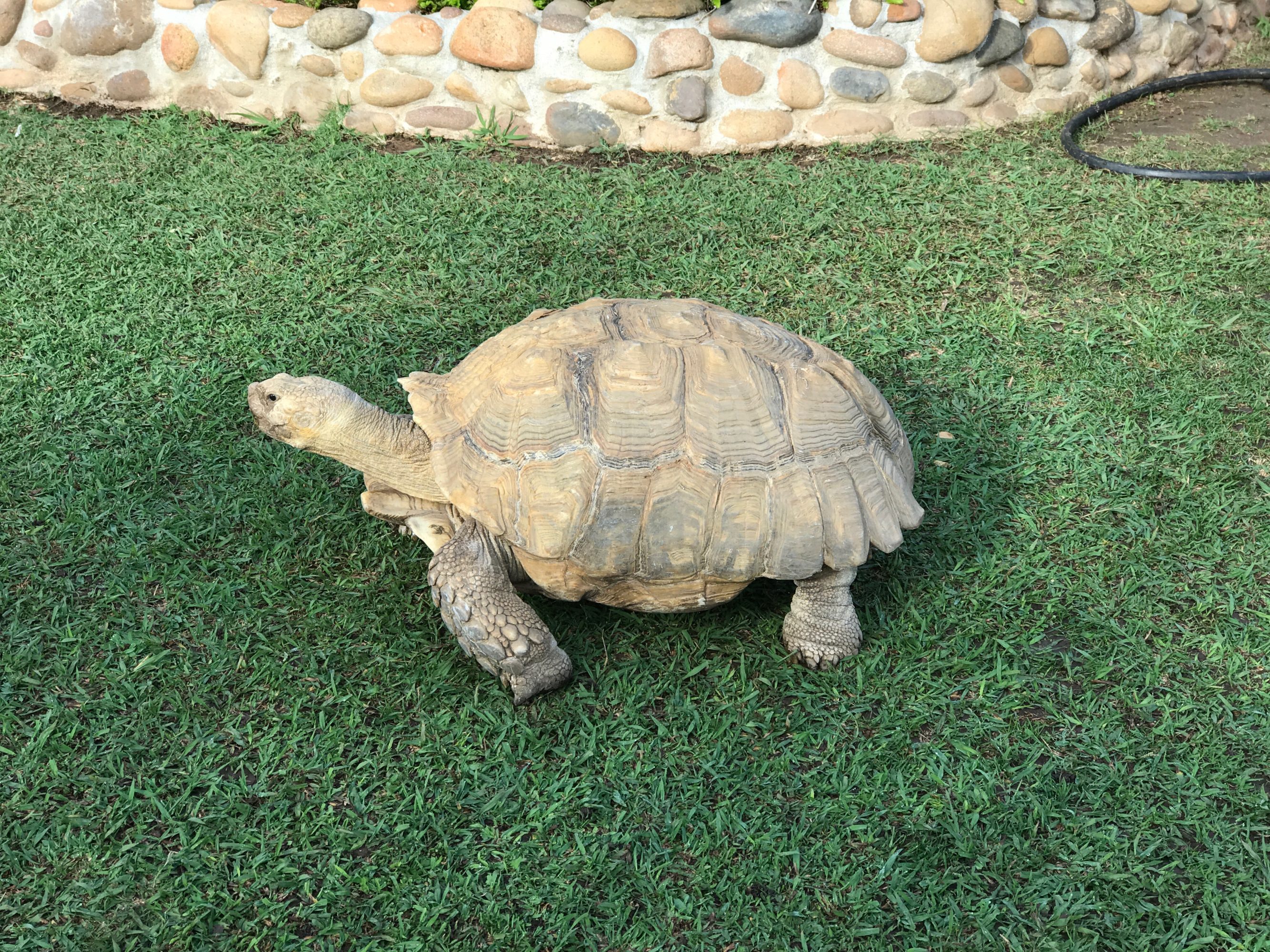 Meet Morla 5 Minutes with Joe