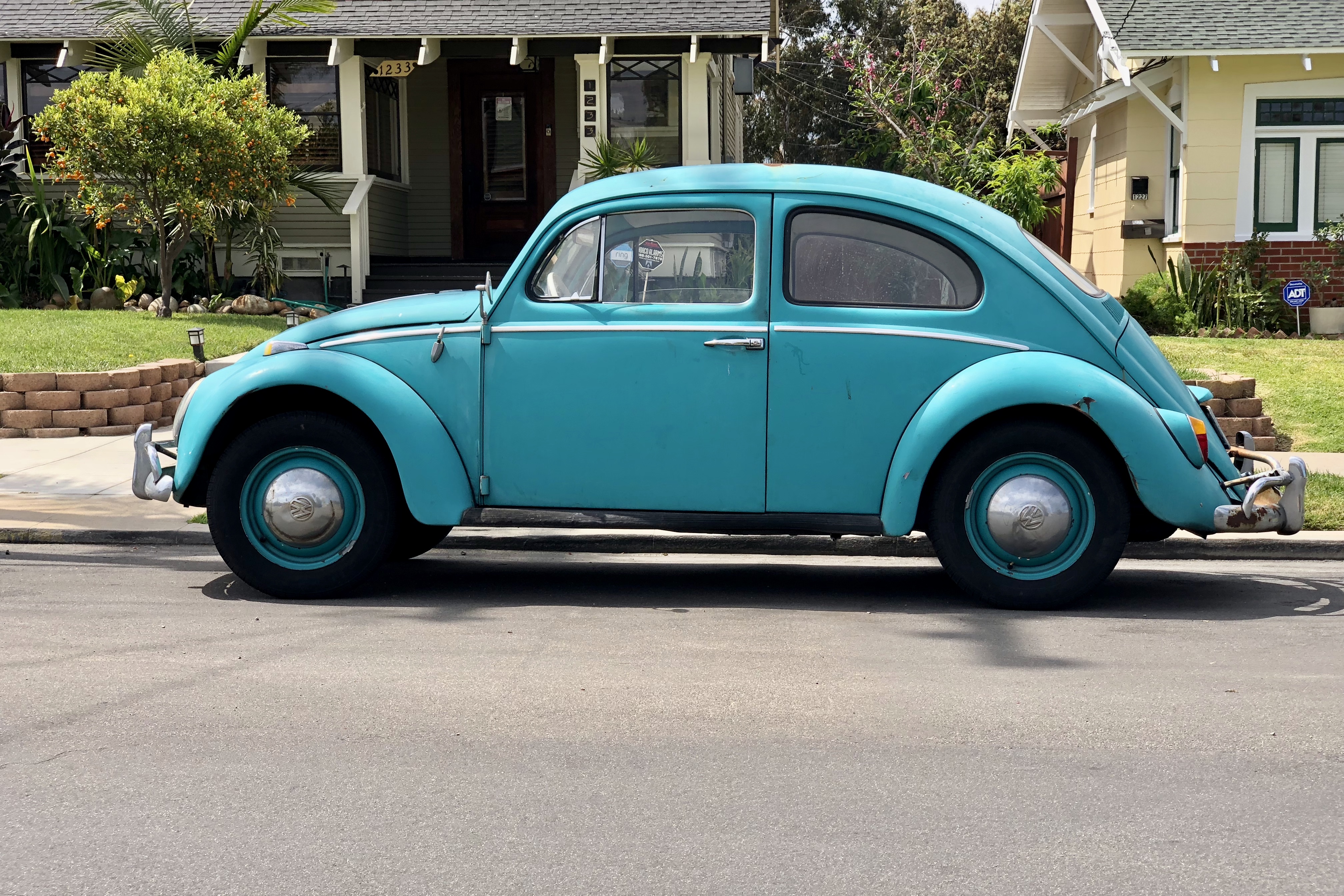 blue buggie