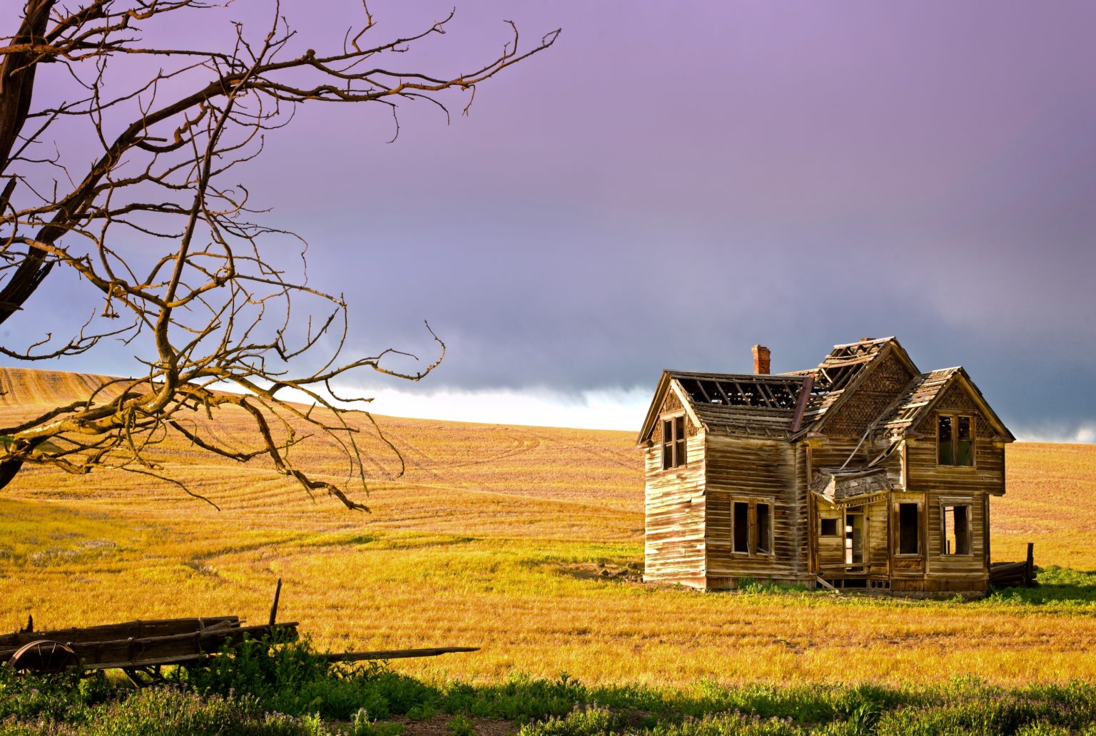 flickr-a-week-1-fairfield-house-1078-d-5-minutes-with-joe